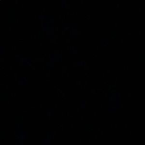 Meet your Posher, Ethan